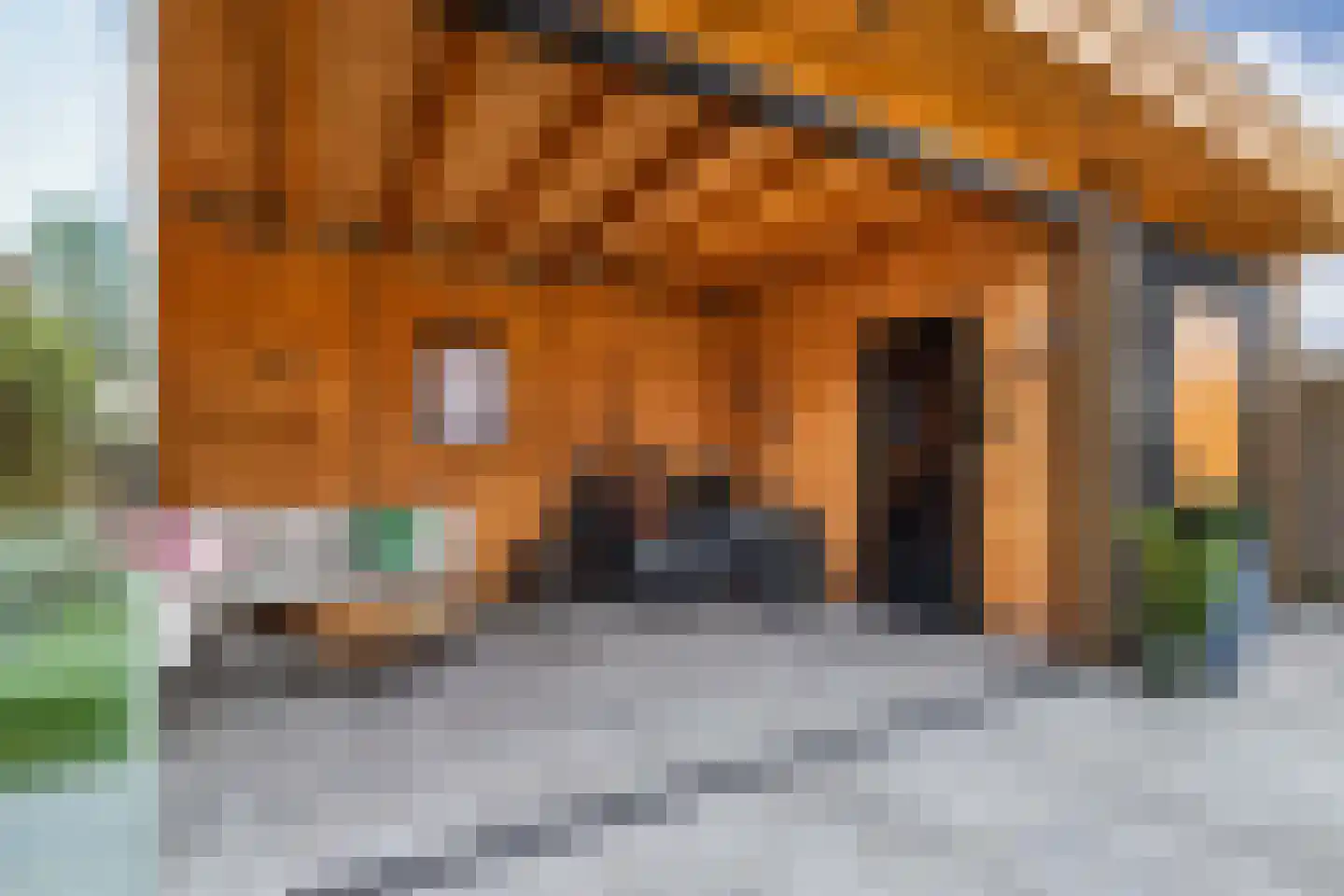 Doctor Sipcke Stapertstrjitte 13 Wommels thumbnail 37