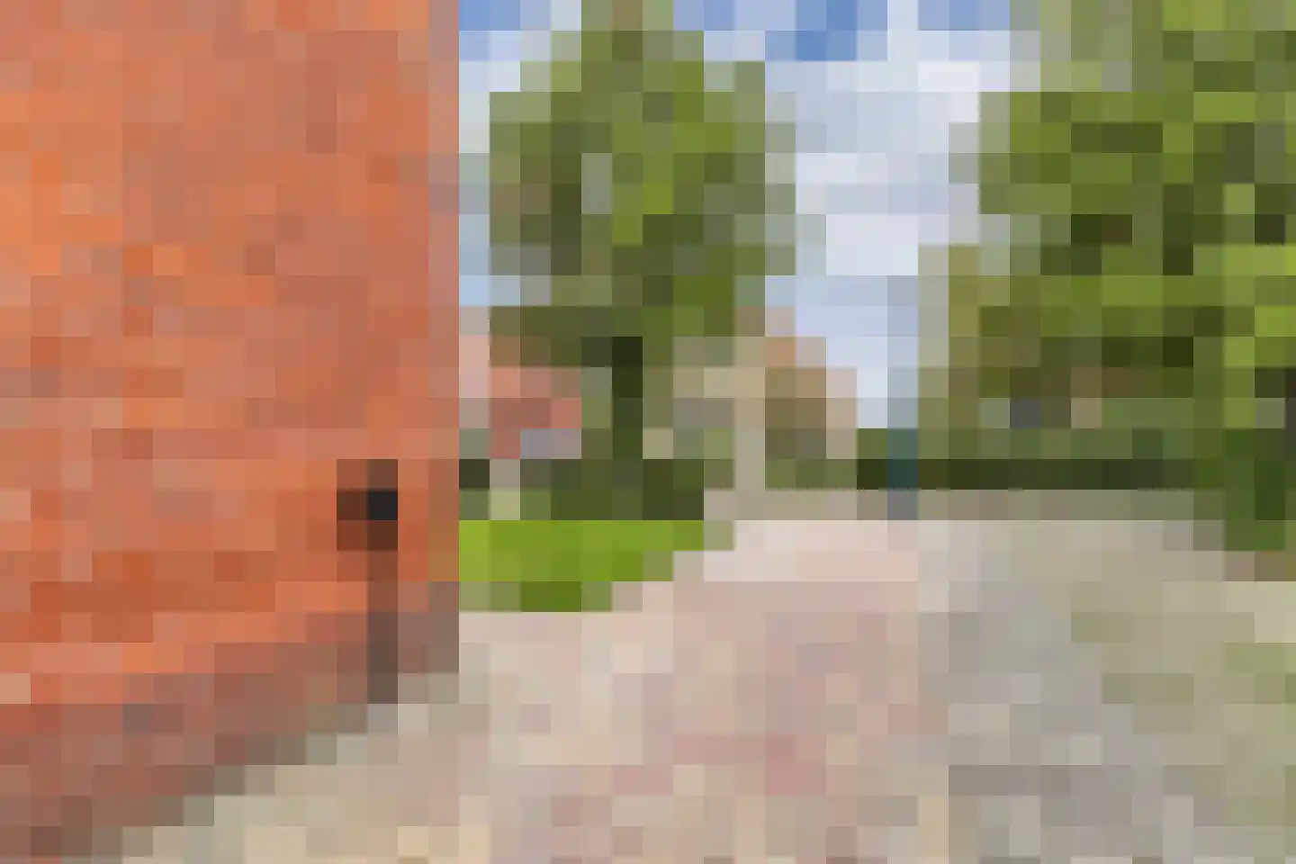 Doctor Sipcke Stapertstrjitte 13 Wommels thumbnail 41