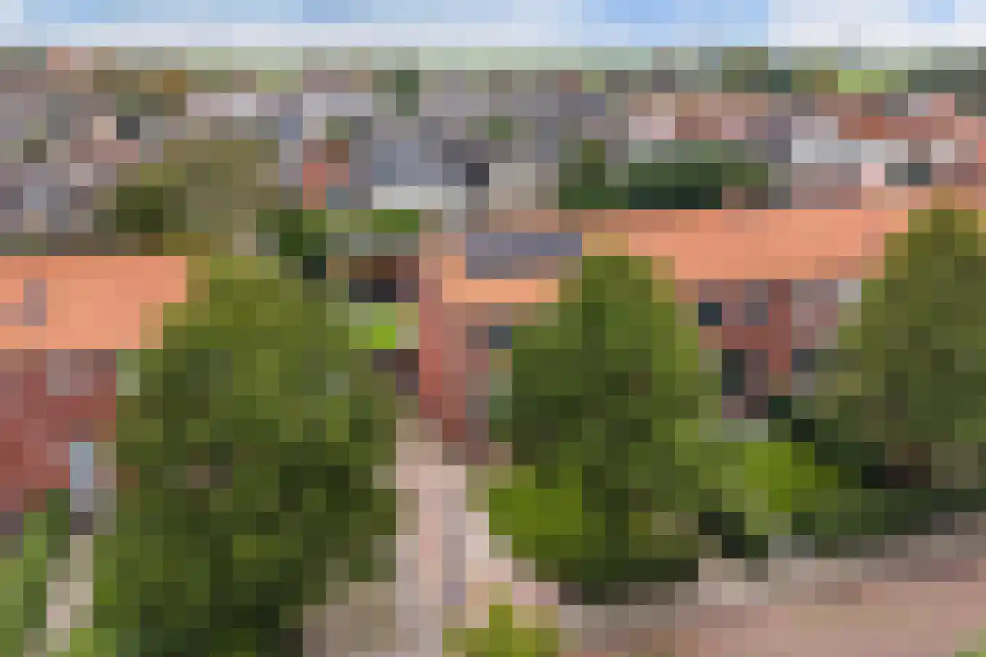 Doctor Sipcke Stapertstrjitte 13 Wommels thumbnail 43