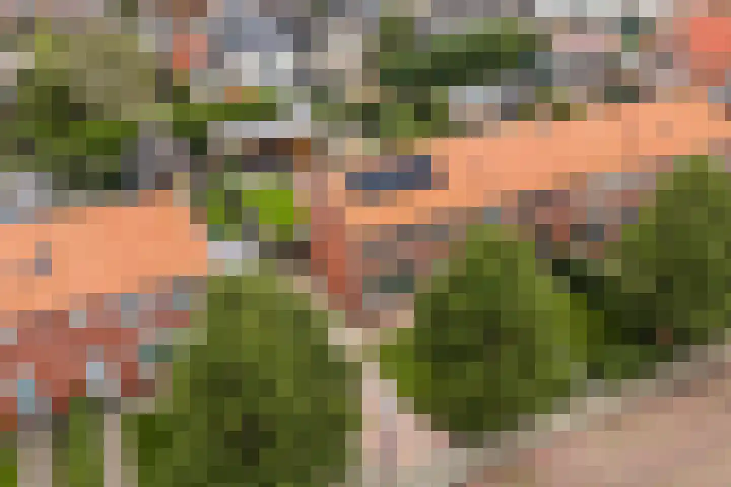 Doctor Sipcke Stapertstrjitte 13 Wommels thumbnail 44