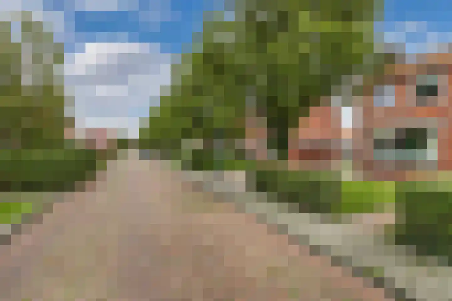 Doctor Sipcke Stapertstrjitte 13 Wommels thumbnail 47