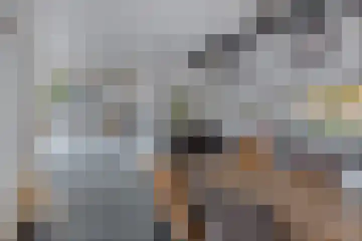 Doctor Sipcke Stapertstrjitte 24 Wommels thumbnail 12