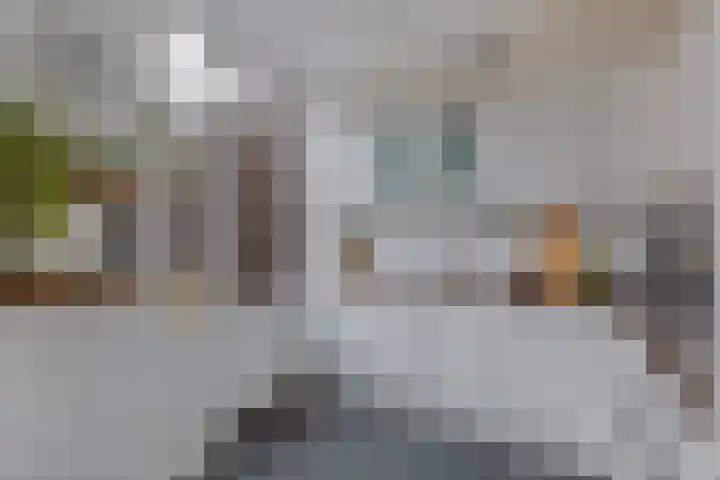 Doctor Sipcke Stapertstrjitte 24 Wommels thumbnail 14