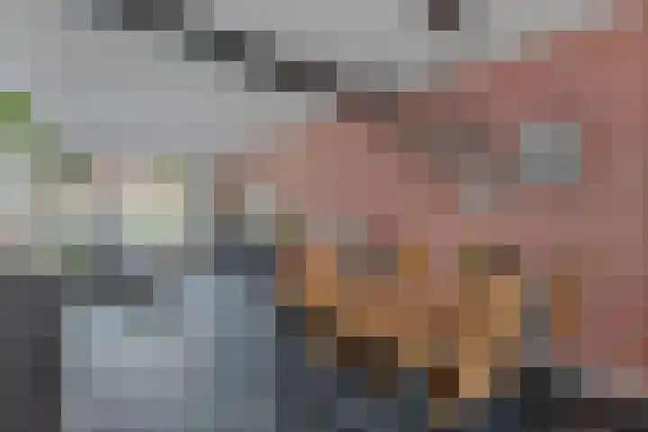Doctor Sipcke Stapertstrjitte 24 Wommels thumbnail 16