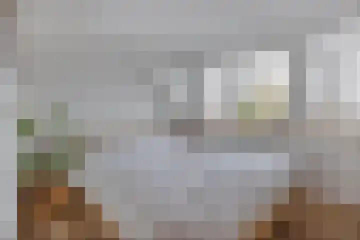 Doctor Sipcke Stapertstrjitte 24 Wommels thumbnail 20