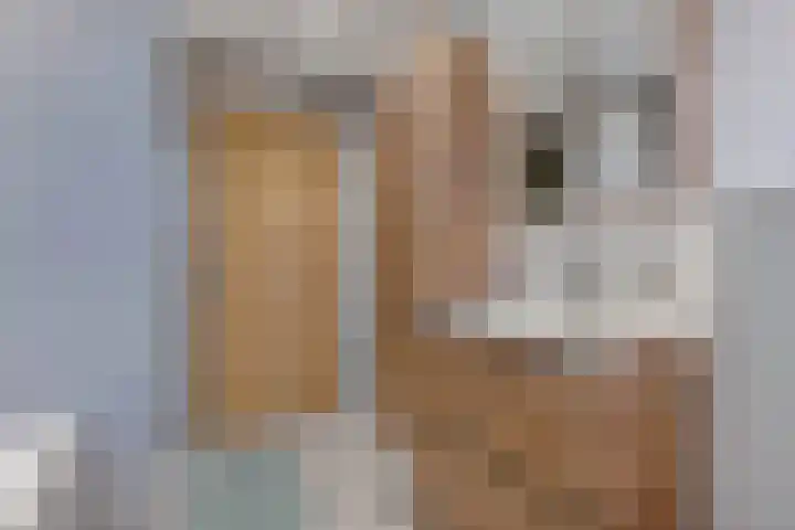 Doctor Sipcke Stapertstrjitte 24 Wommels thumbnail 21