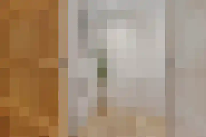 Doctor Sipcke Stapertstrjitte 24 Wommels thumbnail 23