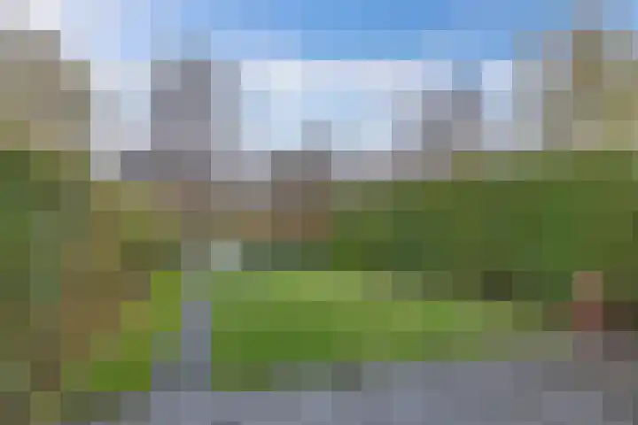 Doctor Sipcke Stapertstrjitte 24 Wommels thumbnail 31