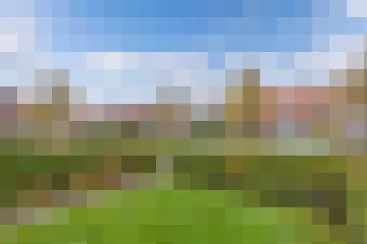 Doctor Sipcke Stapertstrjitte 24 Wommels thumbnail 36