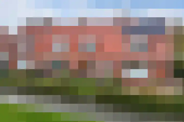 Doctor Sipcke Stapertstrjitte 24 Wommels thumbnail 37
