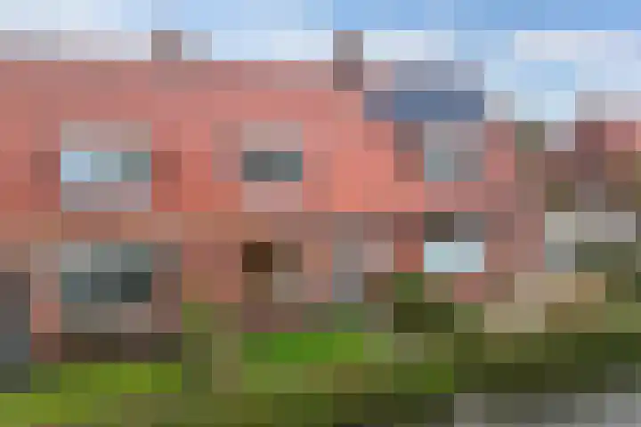 Doctor Sipcke Stapertstrjitte 24 Wommels thumbnail 5