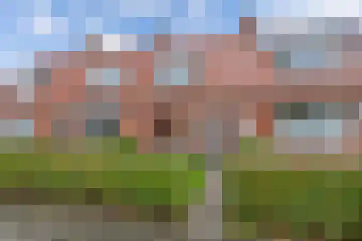 Doctor Sipcke Stapertstrjitte 24 Wommels thumbnail 6