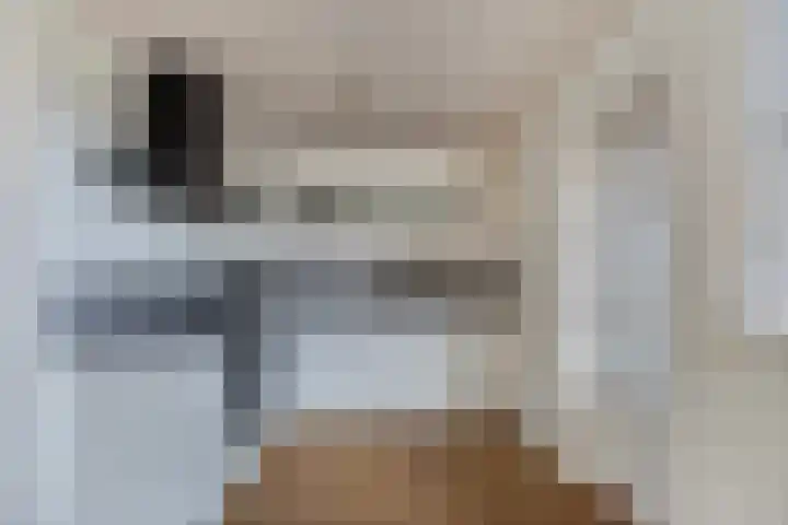 Doctor Sipcke Stapertstrjitte 7 Wommels thumbnail 11