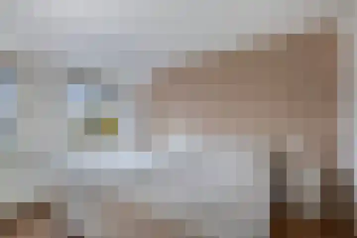 Doctor Sipcke Stapertstrjitte 7 Wommels thumbnail 15