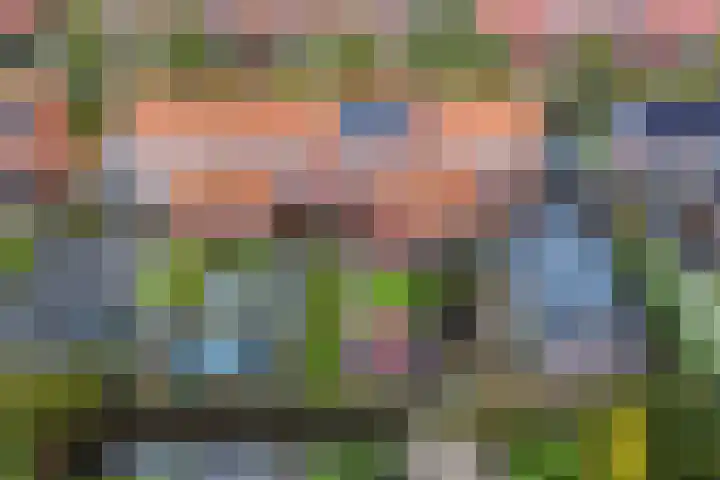Doctor Sipcke Stapertstrjitte 7 Wommels thumbnail 21