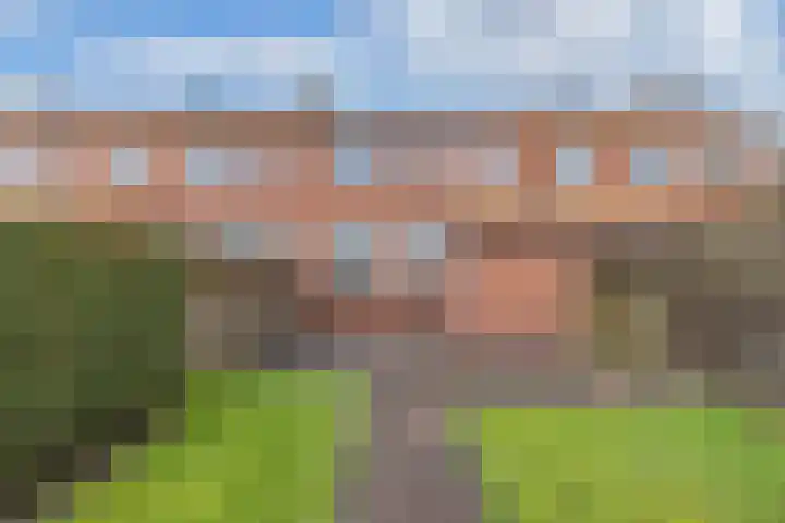 Doctor Sipcke Stapertstrjitte 7 Wommels thumbnail 22
