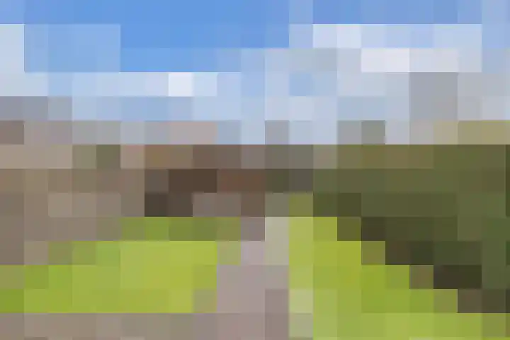 Doctor Sipcke Stapertstrjitte 7 Wommels thumbnail 24
