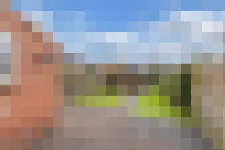 Doctor Sipcke Stapertstrjitte 7 Wommels thumbnail 25