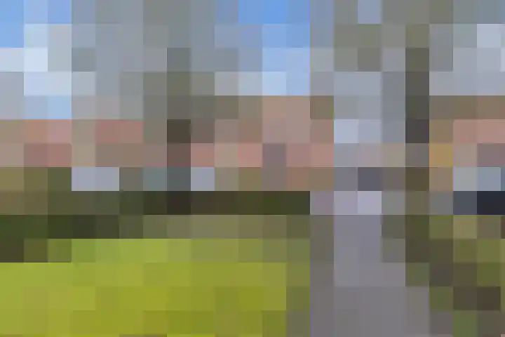 Doctor Sipcke Stapertstrjitte 7 Wommels thumbnail 26