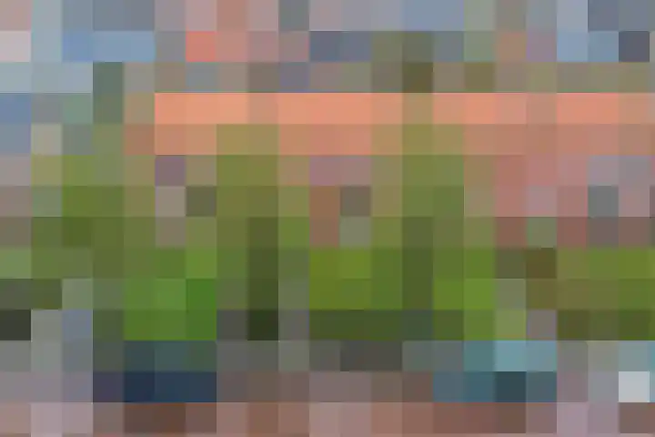 Doctor Sipcke Stapertstrjitte 7 Wommels thumbnail 28