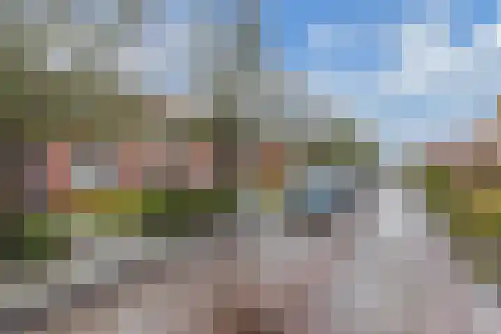 Doctor Sipcke Stapertstrjitte 7 Wommels thumbnail 29