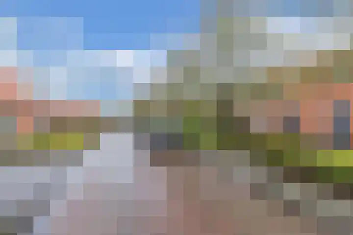 Doctor Sipcke Stapertstrjitte 7 Wommels thumbnail 30