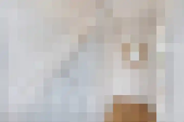 Doctor Sipcke Stapertstrjitte 7 Wommels thumbnail 5