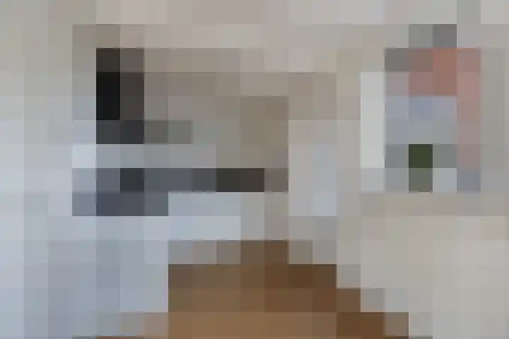 Doctor Sipcke Stapertstrjitte 7 Wommels thumbnail 9