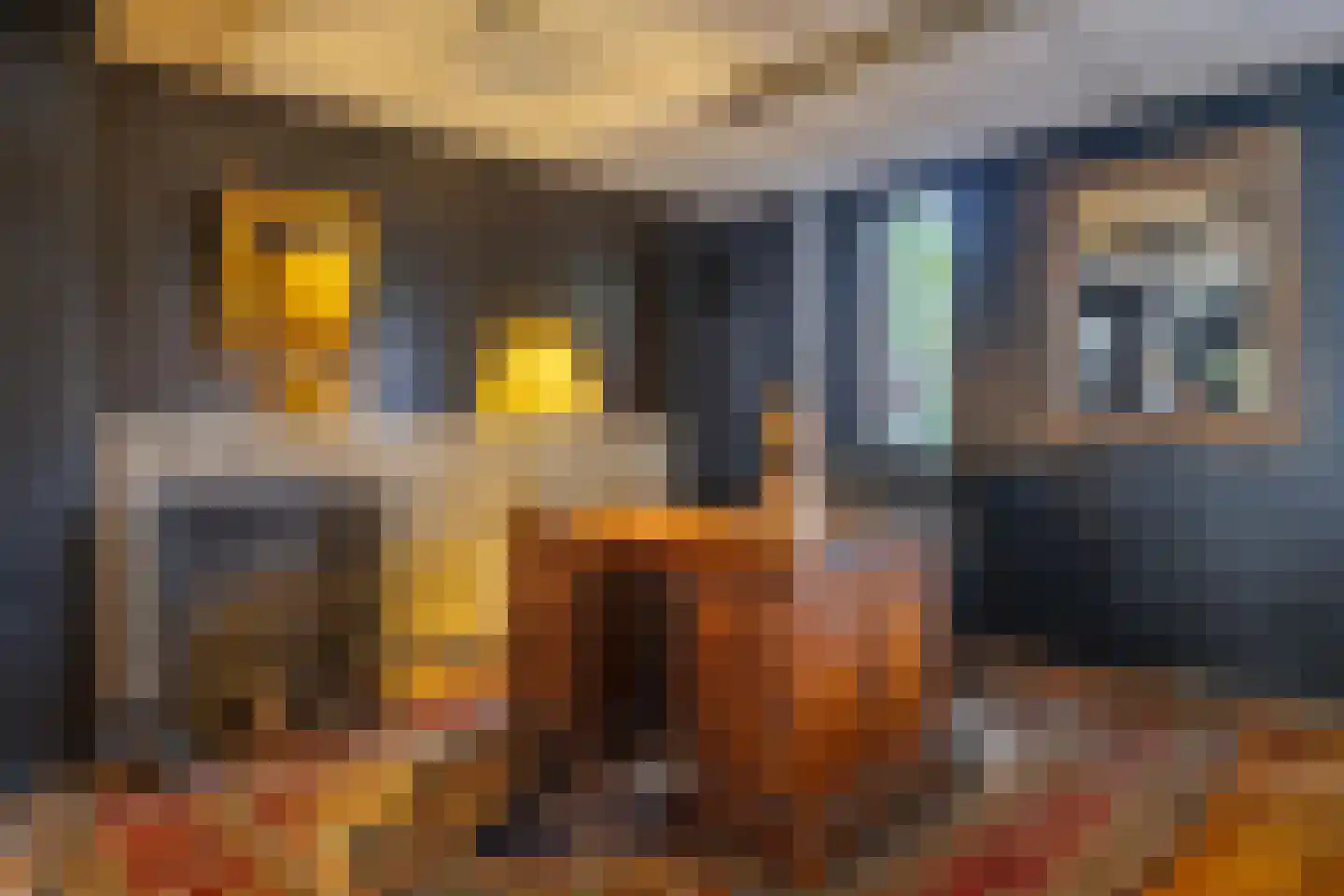 Doctor van Beurdenstraat 28 Kaatsheuvel thumbnail 15