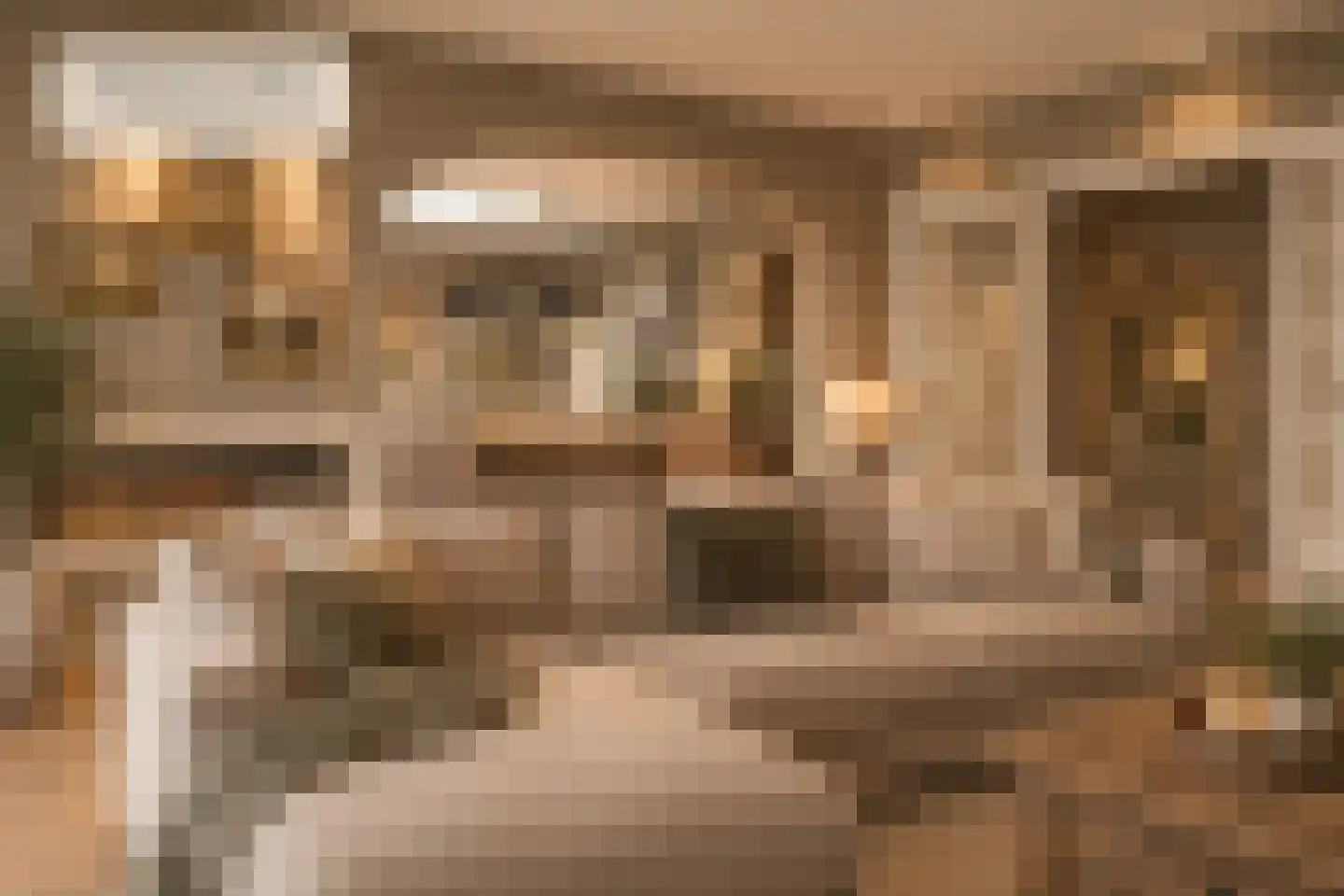 Doctor van Beurdenstraat 28 Kaatsheuvel thumbnail 35