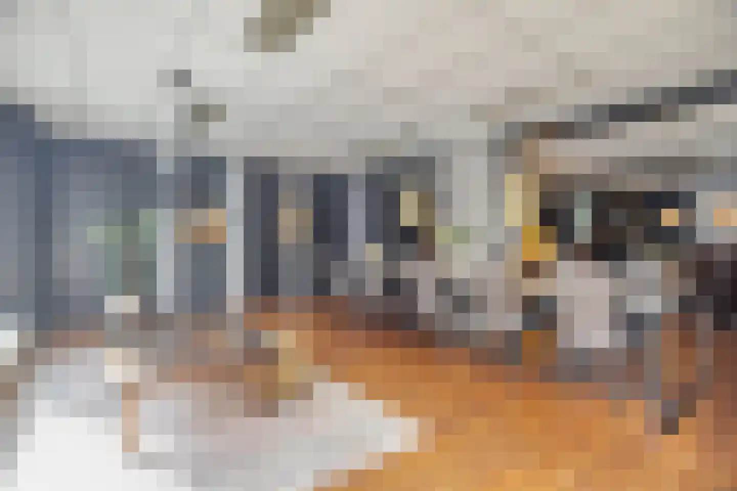 Doctor van Beurdenstraat 28 Kaatsheuvel thumbnail 6