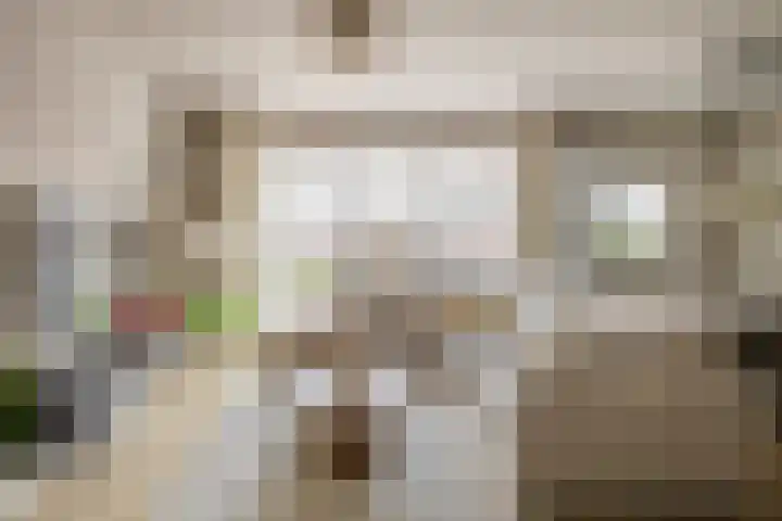 Doctor van Beurdenstraat 4 Kaatsheuvel thumbnail 10