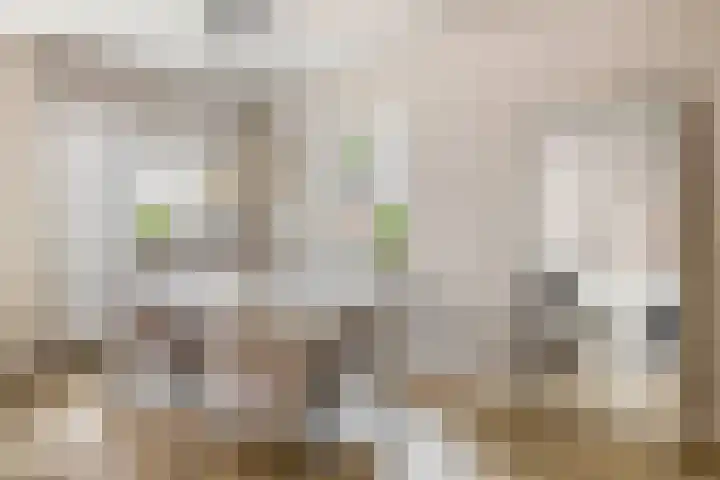 Doctor van Beurdenstraat 4 Kaatsheuvel thumbnail 11
