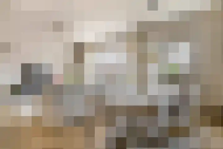 Doctor van Beurdenstraat 4 Kaatsheuvel thumbnail 12
