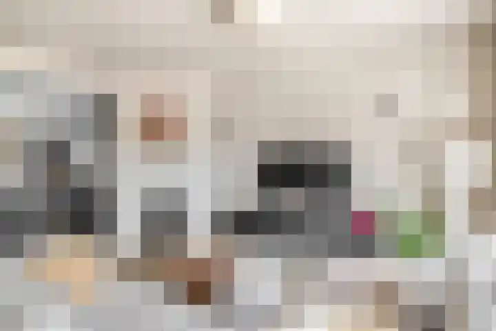 Doctor van Beurdenstraat 4 Kaatsheuvel thumbnail 14