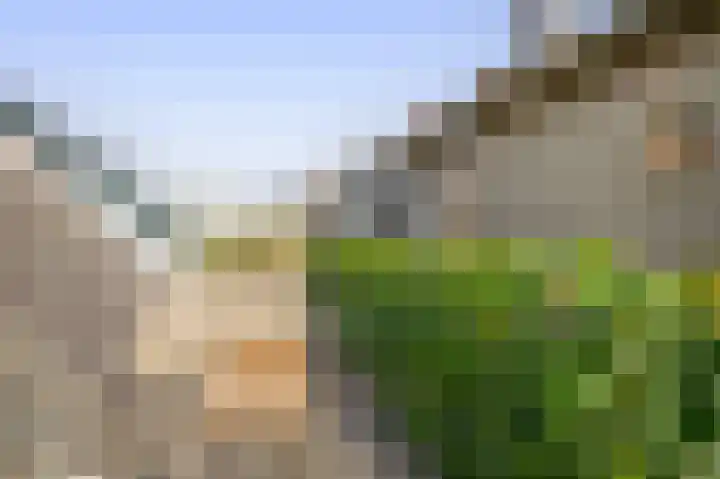 Doctor van Beurdenstraat 4 Kaatsheuvel thumbnail 23
