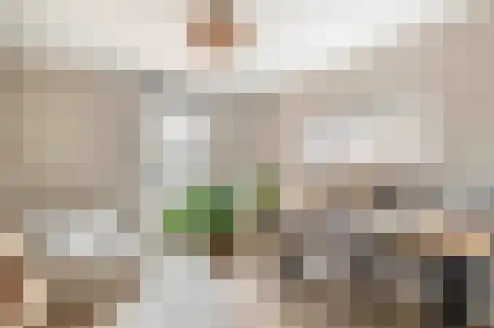 Doctor van Beurdenstraat 4 Kaatsheuvel thumbnail 30