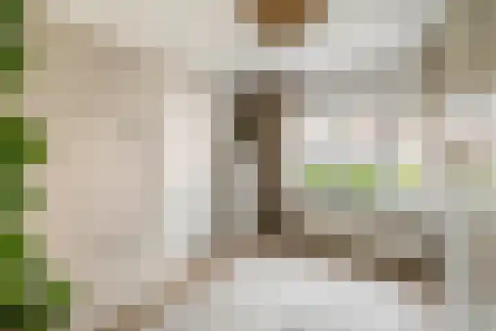 Doctor van Beurdenstraat 4 Kaatsheuvel thumbnail 32