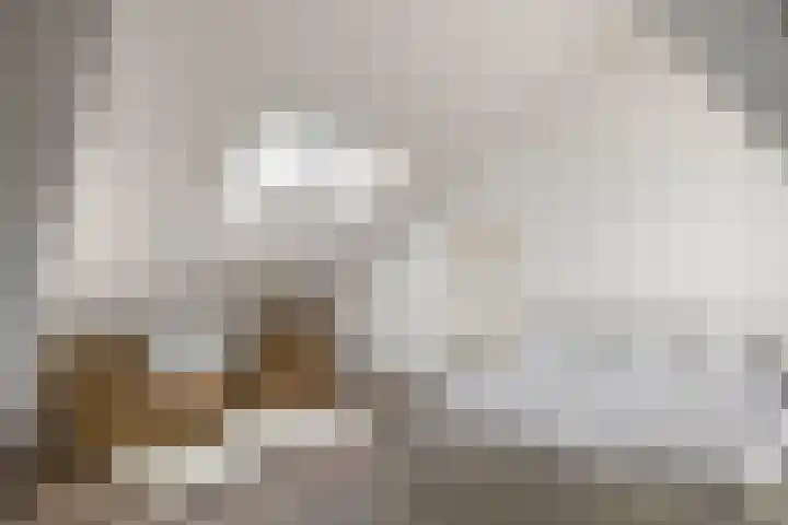 Doctor van Beurdenstraat 4 Kaatsheuvel thumbnail 33