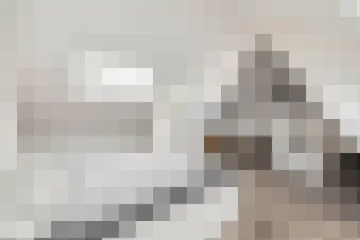 Doctor van Beurdenstraat 4 Kaatsheuvel thumbnail 34