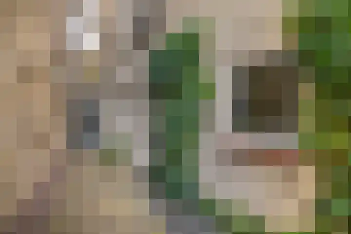 Doctor van Beurdenstraat 4 Kaatsheuvel thumbnail 6
