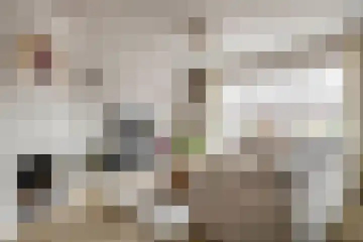 Doctor van Beurdenstraat 4 Kaatsheuvel thumbnail 9