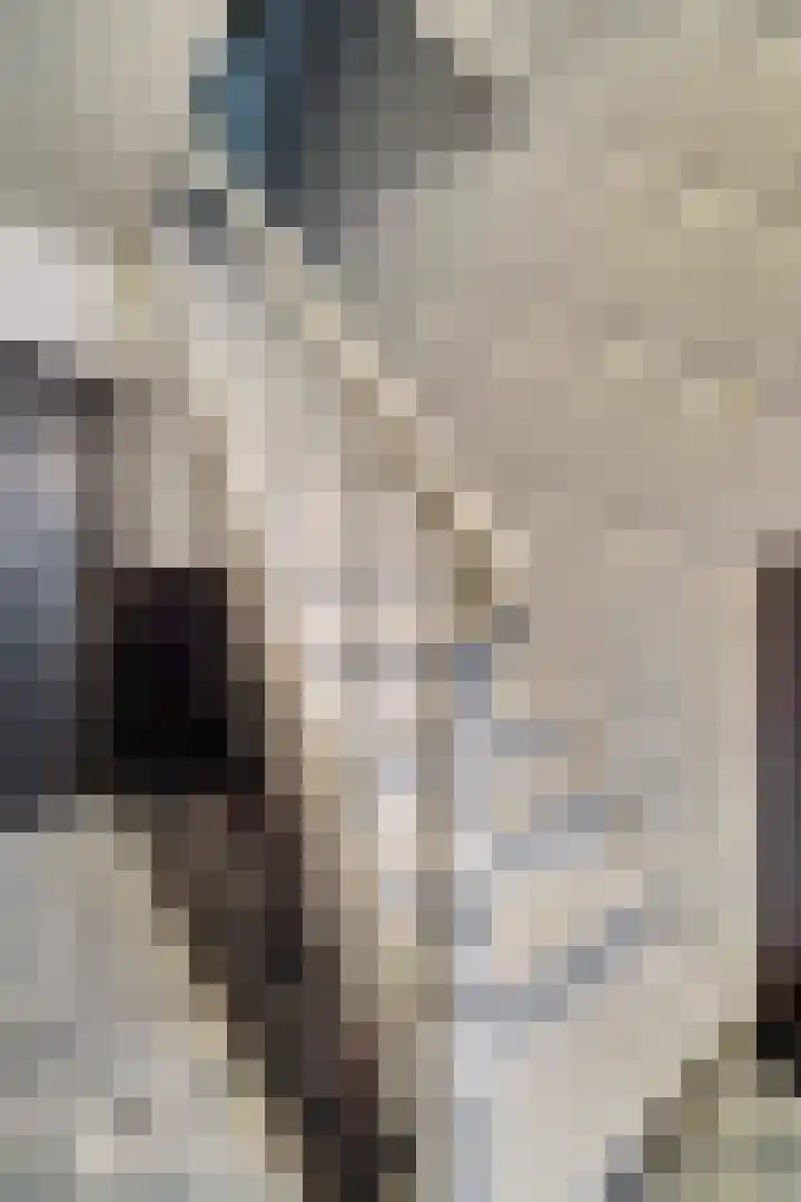 Doctor van Beurdenstraat 40 Kaatsheuvel thumbnail 7