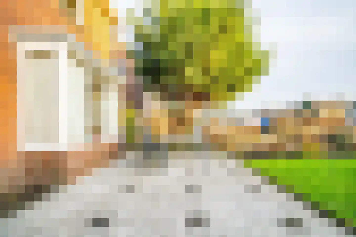 Doctor van Noortstraat 107 Leidschendam thumbnail 72