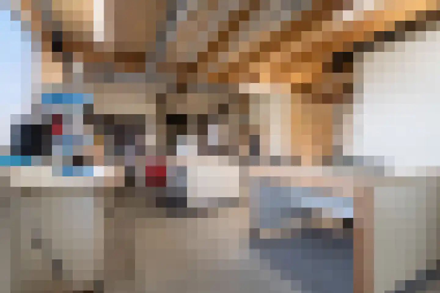 Doctor van Noortstraat 113 Leidschendam thumbnail 31
