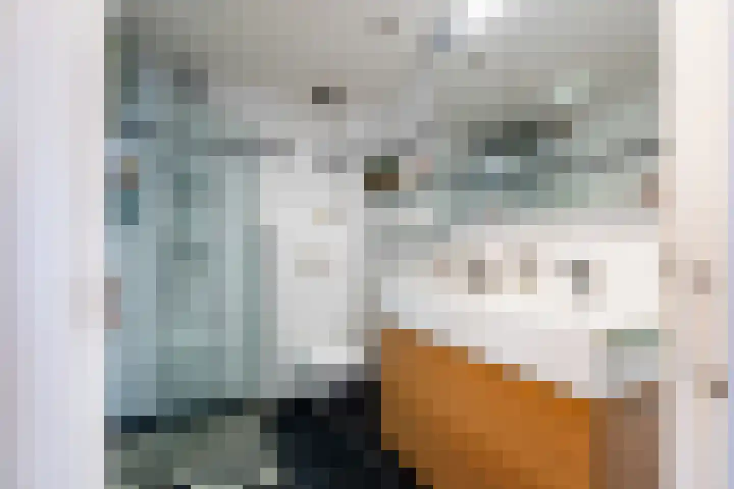Doctor van Noortstraat 113 Leidschendam thumbnail 32