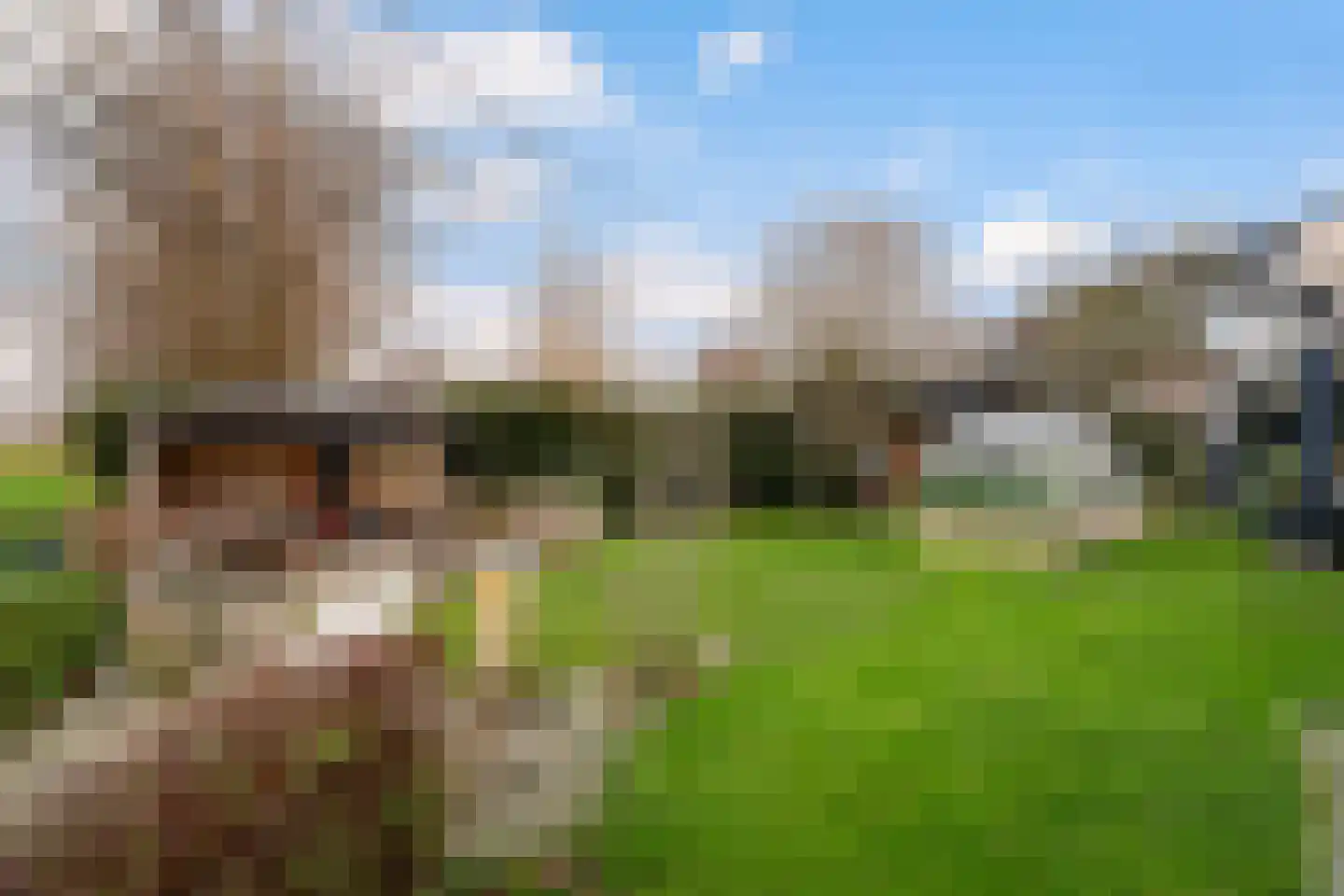 Doctor van Noortstraat 113 Leidschendam thumbnail 37
