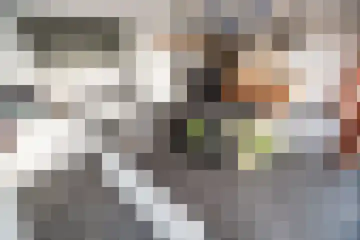 Doctor van Noortstraat 14 Leidschendam thumbnail 14