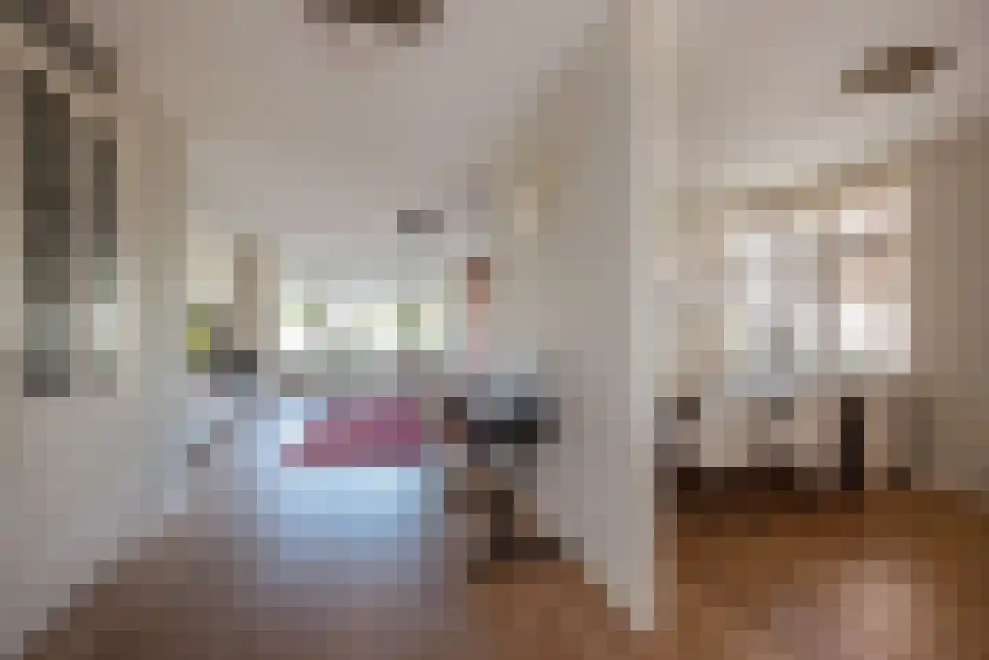 Doctor van Noortstraat 20 Leidschendam thumbnail 8