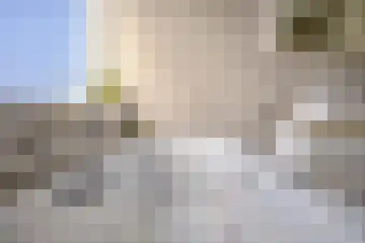 Doctor van Noortstraat 55 Leidschendam thumbnail 51